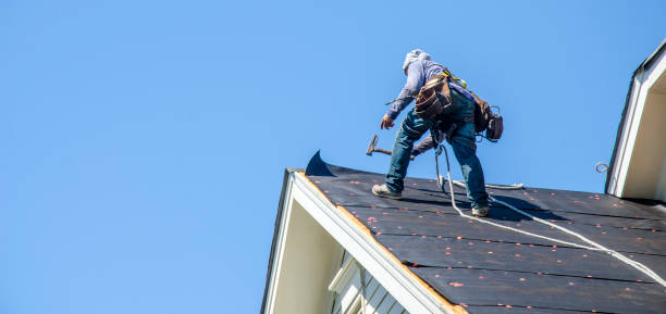 Best Storm Damage Roof Repair  in Waimanalo Beach, HI